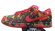 The Wizard of Oz × Nike SB Dunk Low Pro Poppy Field