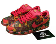 The Wizard of Oz × Nike SB Dunk Low Pro Poppy Field